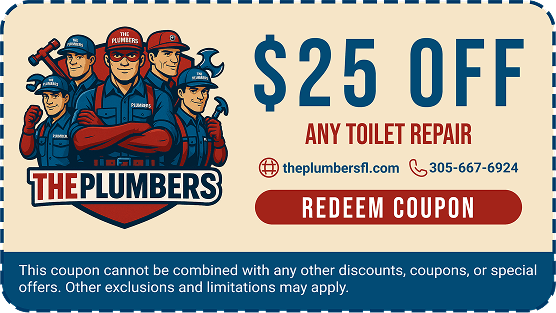 $25 OFF ANY TOILET REPAIR