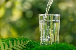 clear, clean water in a glass